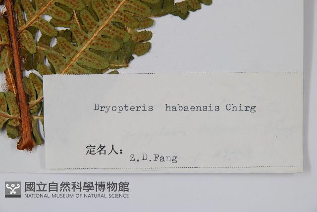 登錄號:P003729藏品圖，第2張