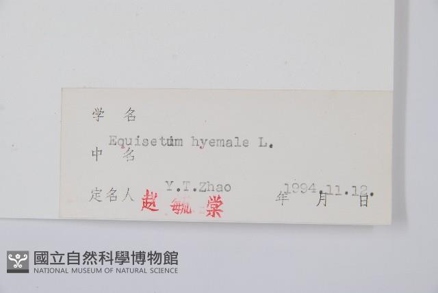 Accession Number:P004029 Collection Image, Figure 2, Total 2 Figures