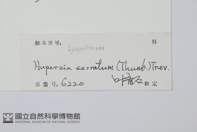 千層塔藏品圖，第2張