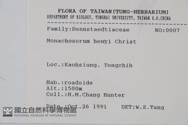 稀子蕨藏品圖，第2張