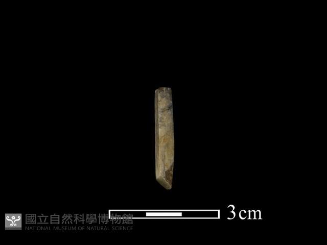 錛鑿形器藏品圖，第1張