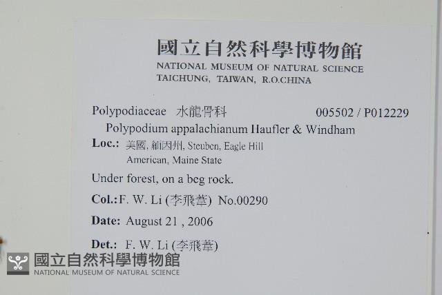 登錄號:P012229藏品圖，第2張