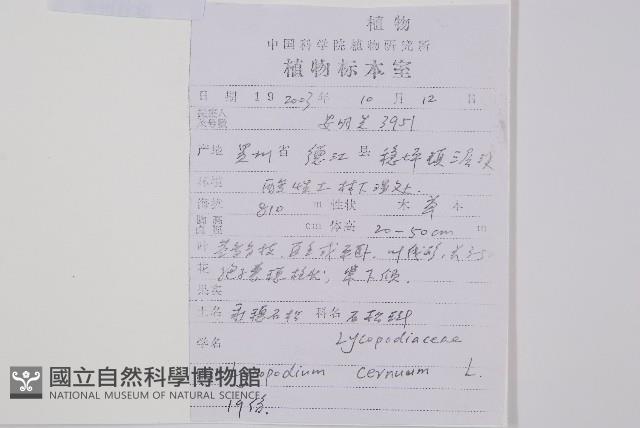 過山龍藏品圖，第2張