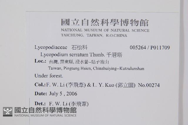 千層塔藏品圖，第2張