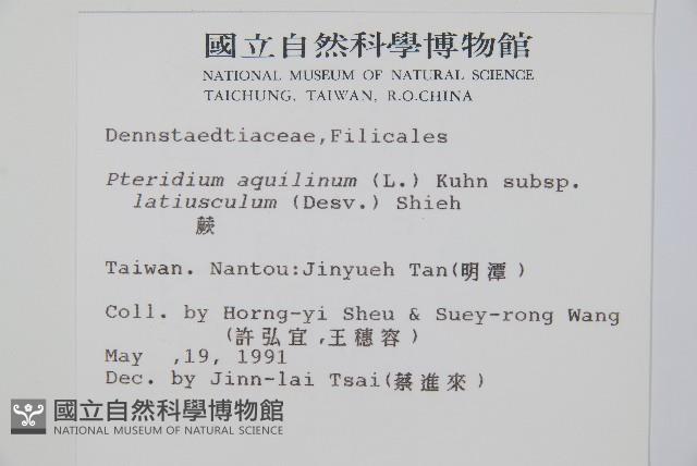 蕨藏品圖，第2張