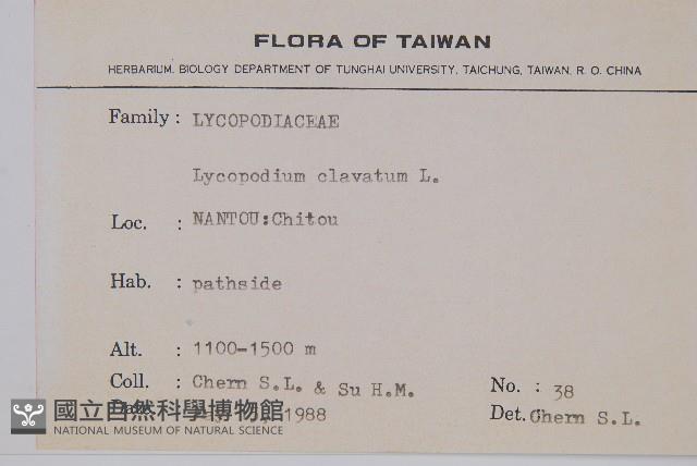 石松藏品圖，第2張