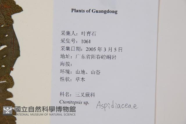 登錄號:P012609藏品圖，第2張