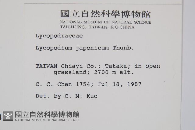 石松藏品圖，第2張