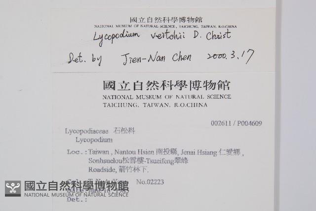 玉山石松藏品圖，第2張