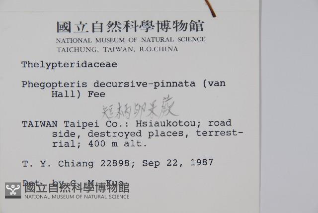 Accession Number:P000919 Collection Image, Figure 2, Total 2 Figures