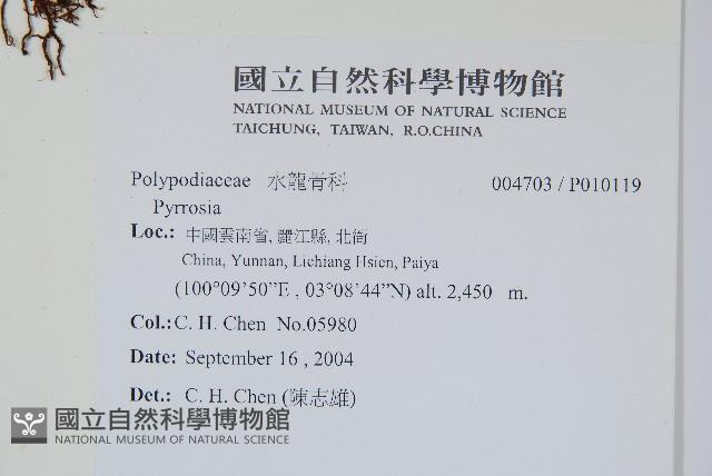 登錄號:P010119藏品圖，第2張