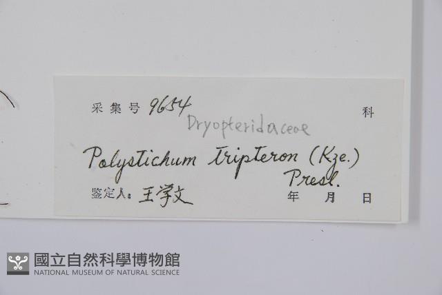 Accession Number:P005119 Collection Image, Figure 2, Total 2 Figures