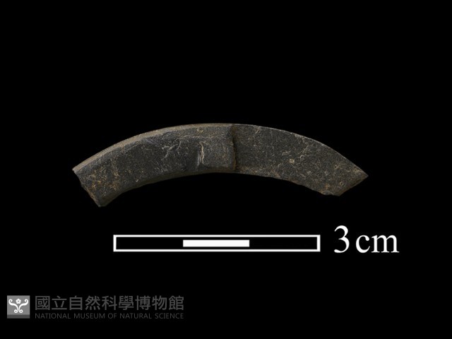 石環藏品圖，第2張