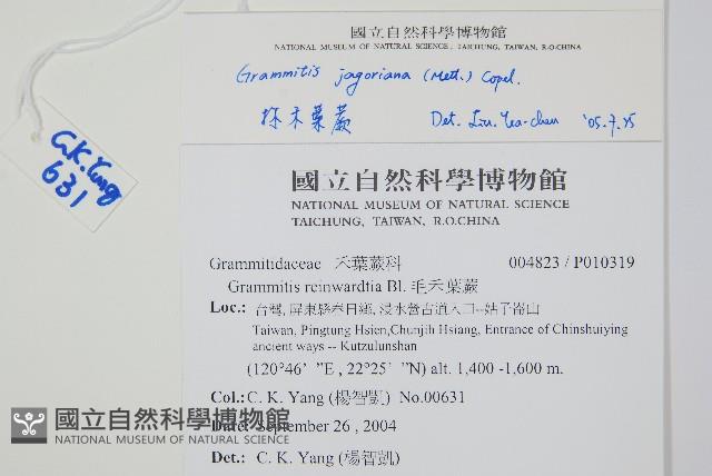 登錄號:P010319藏品圖，第2張