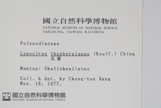 瓦葦藏品圖，第2張