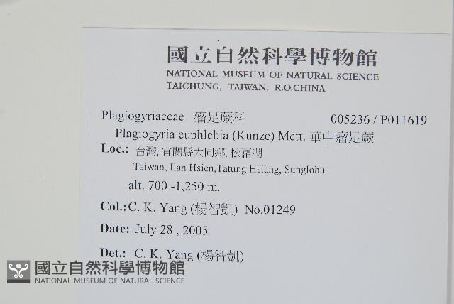 Accession Number:P011619 Collection Image, Figure 2, Total 2 Figures