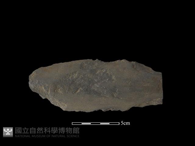 戈形器藏品圖，第2張