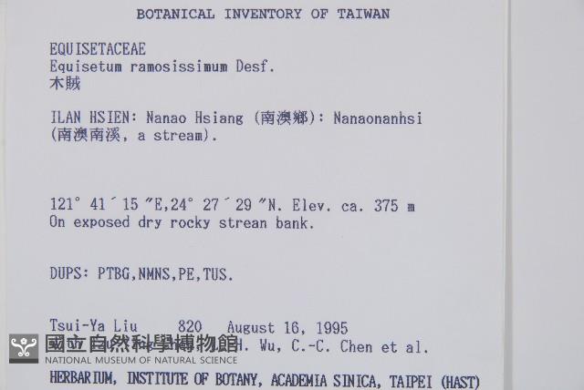 木賊藏品圖，第2張