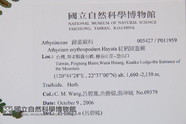 Accession Number:P011959 Collection Image, Figure 5, Total 8 Figures