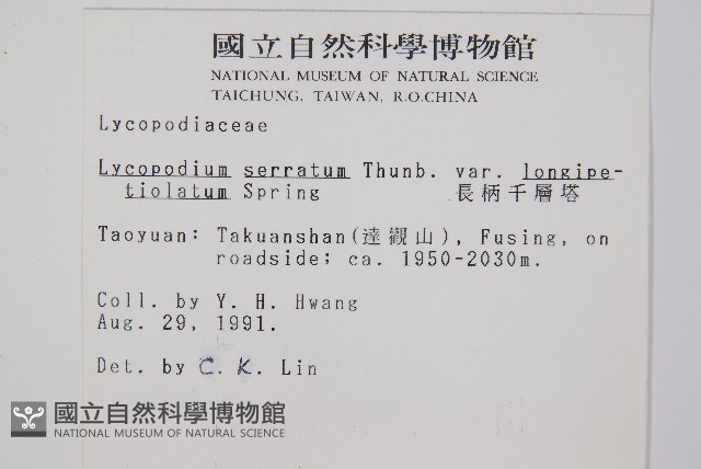長柄千層塔藏品圖，第2張