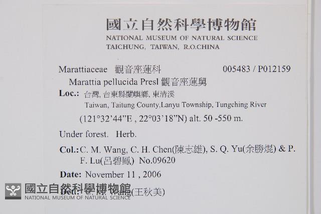 觀音座蓮舅藏品圖，第2張