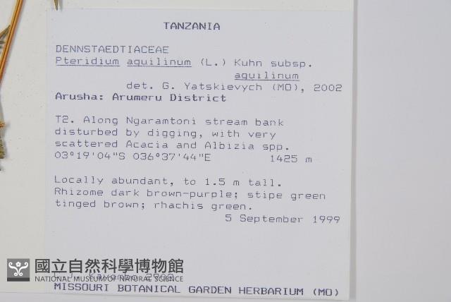 蕨藏品圖，第2張