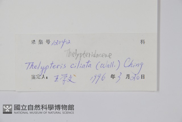 登錄號:P005059藏品圖，第2張