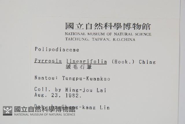 Accession Number:P001359 Collection Image, Figure 2, Total 2 Figures