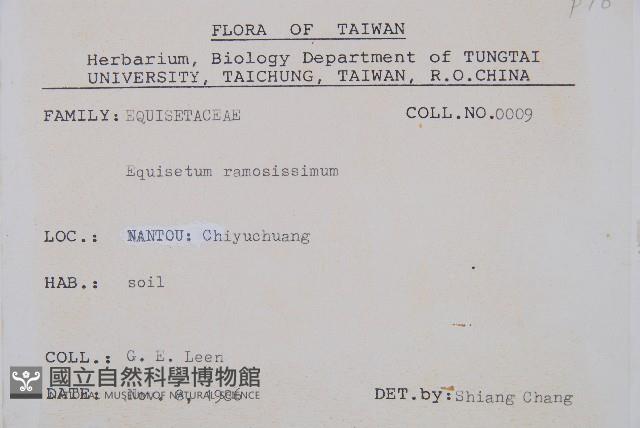 木賊藏品圖，第2張