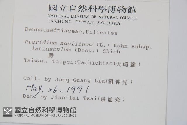 蕨藏品圖，第2張