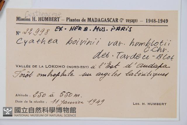 登錄號:P010259藏品圖，第5張