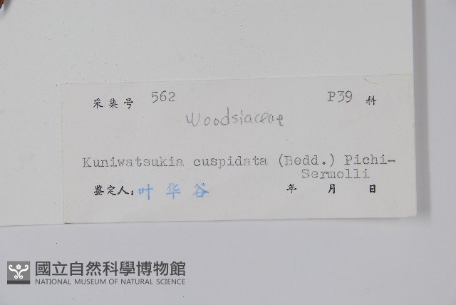 登錄號:P005259藏品圖，第2張