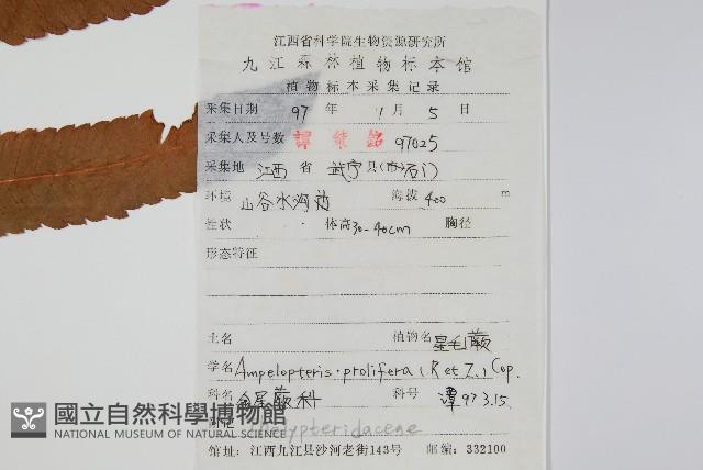 Accession Number:P005999 Collection Image, Figure 2, Total 2 Figures