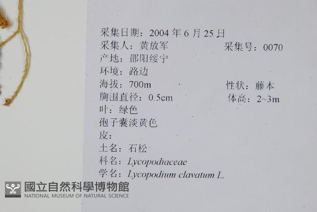 石松藏品圖，第2張