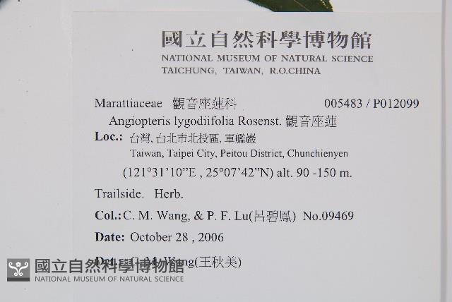 觀音座蓮藏品圖，第2張