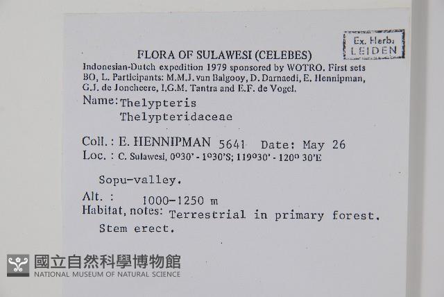 登錄號:P005599藏品圖，第2張