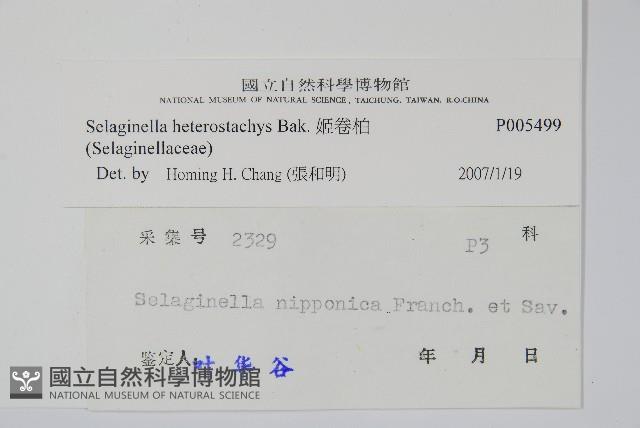 Accession Number:P005499 Collection Image, Figure 2, Total 2 Figures