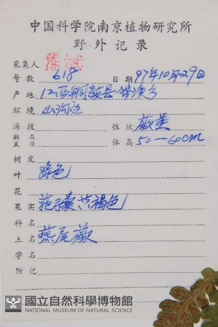 登錄號:P006299藏品圖，第1張