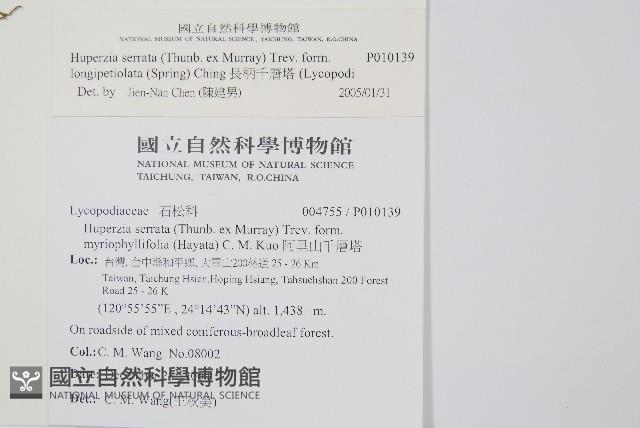 長柄千層塔藏品圖，第2張