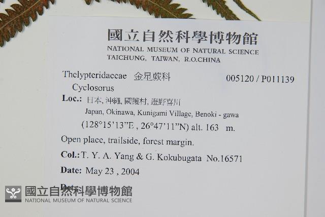 登錄號:P011139藏品圖，第2張