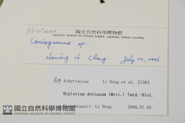 登錄號:P010739藏品圖，第2張