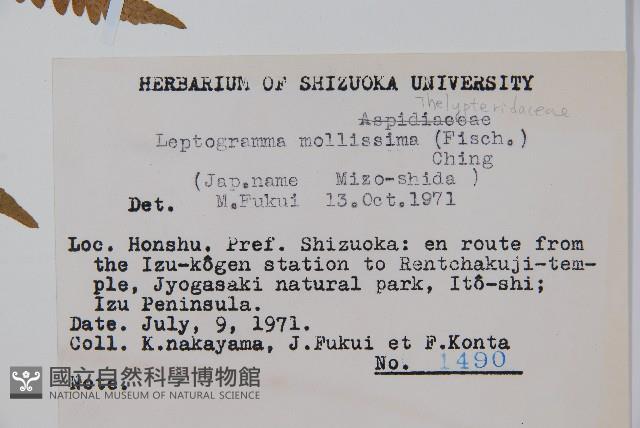 登錄號:P005739藏品圖，第2張