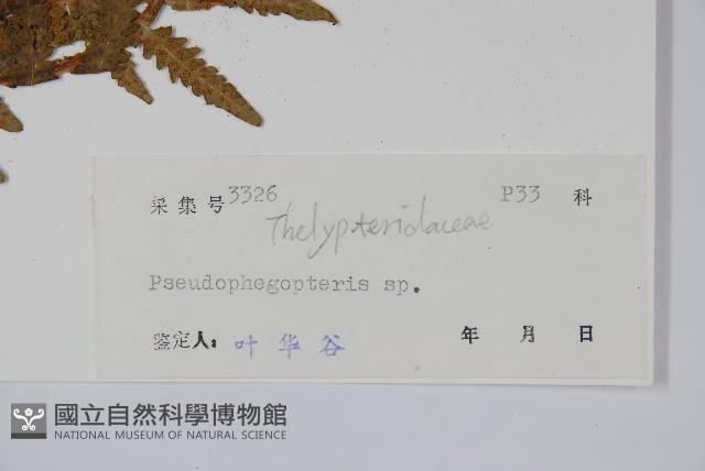 登錄號:P004739藏品圖，第2張