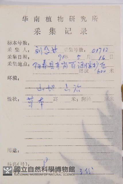 薄蓋短腸蕨藏品圖，第2張