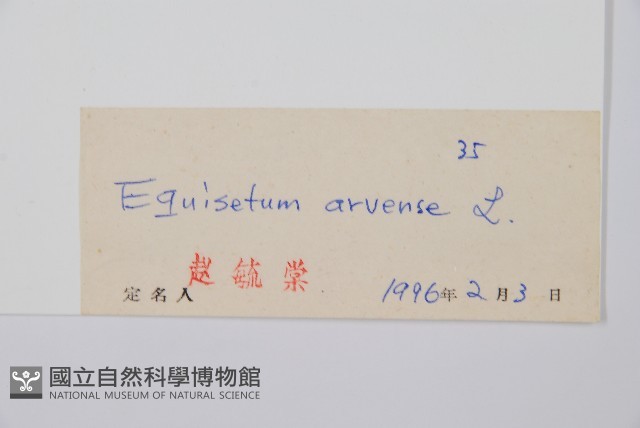 問荊藏品圖，第2張