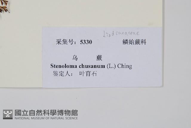 烏蕨藏品圖，第2張