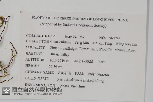 盧山石葦藏品圖，第2張