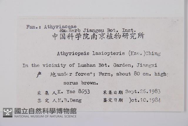 登錄號:P003439藏品圖，第2張