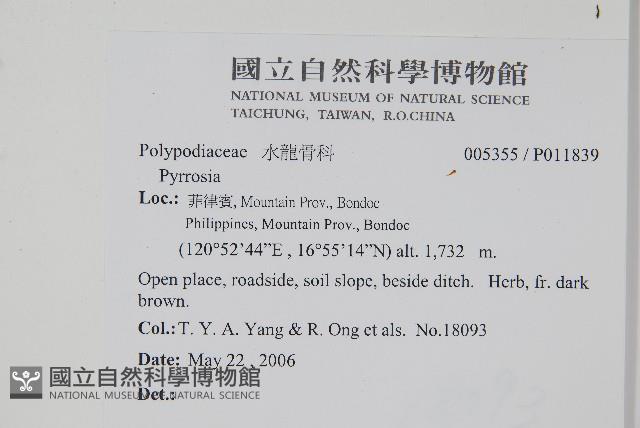 登錄號:P011839藏品圖，第2張