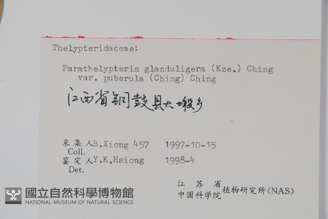 登錄號:P006239藏品圖，第1張